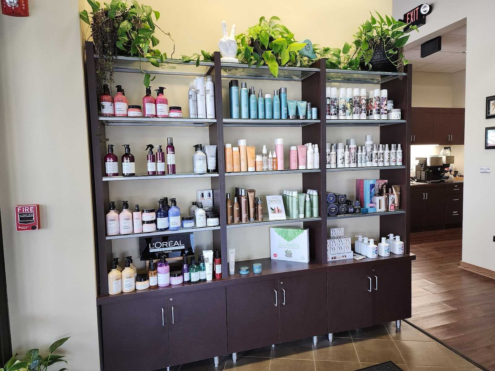 Shelves filled with various hair and beauty products in a salon, decorated with green plants.